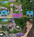 지난 달 31일 방송된 Mnet ‘TMI SHOW’에서 김연아가 ‘스타들의 탐나는 세컨드 하우스’ 8위에 이름을 올렸다. 사진 Mnet ‘TMI SHOW’ 캡처