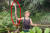 뉴질랜드 9살 소년이 자기 집 마당에서 초대형 지렁이를 발견했다. 사진 스터프 사이트 캡처