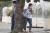 4일 일본 오키나와 나하시에서 길을 걷던 시민들이 강한 바람에 나무를 붙잡고 서 있다. AP=연합뉴스