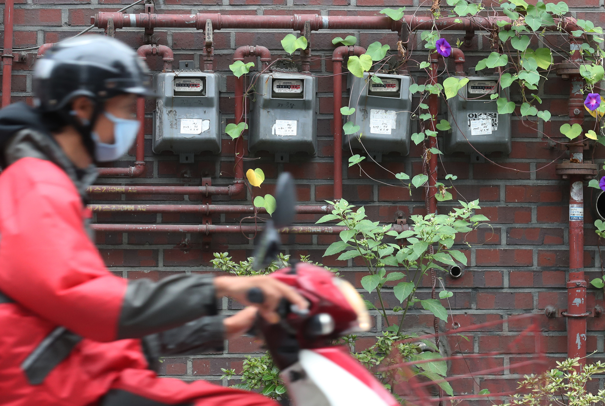 지난달 29일 서울 도심 주택단지에 설치된 도시가스 계량기 모습. 뉴스1