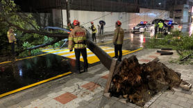 가로수 넘어지고 건물 외벽 붕괴…서울 태풍 피해신고 85건