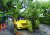 11호 태풍 '힌남노'가 북상하고 있는 5일 오후 인천시 연수구 동춘동의 한 아파트 인근 도로를 달리던 학원 차량 위에 가로수가 쓰러져 있다. 인천 연수소방서 제공