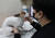 서울 종로구의 한 동물병원에서 수의사가 반려동물 진료를 하고 있다. [뉴스1]