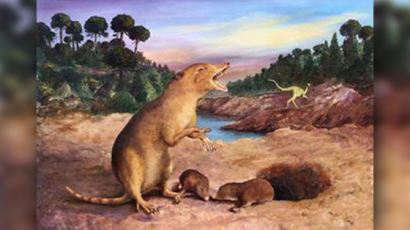 2억 2500만 년 전 지구에 살았던 ‘최초의 포유류’ 발견…생김새 보니