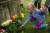8일(현지시간) 한 어린이가 영국 에든버러 홀리루드하우스 궁전 정원에서 엘리자베스 2세 여왕을 추모하고 있다. AFP=연합뉴스