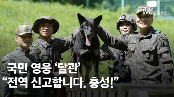 [단독] 3년 전 실종 여중생 구한 '영웅' 군견, 복무 끝…노후 어디서