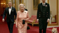 '007시리즈'에도 등장했다…궁 떠나는 英여왕 반려견, 어디로? 