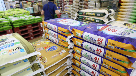 쌀값 45년 만에 최대폭 하락, 53만 농가 속탄다
