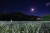 달 밝은 밤, 메밀꽃밭 풍경은 86년 전 소설에 묘사된 풍경 그대로다. 