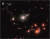 은하의 기나긴 조석꼬리가 도드라진다. 사진 NASA/STSCI/CEERS/TACC/S. FINKELSTEIN/M. BAGLEY/R. LARSON/Z. LEVAY