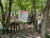 지난달 29일 북한산국립공원 안골 지역에서 국립공원공단 직원들이 ‘임산물 채취금지’ 홍보 플래카드를 설치하고 있다. 사진 국립공원공단