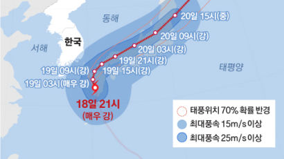 화분에 사람 맞고 철탑 쓰러졌다…'난마돌' 부울경, 오전이 고비