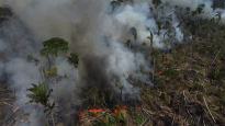 2022년 발생한 브라질 아마존 화재…이미 작년 총계 넘어서