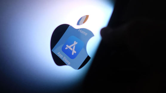 [팩플] 애플 앱 가격, 10월부터 25% 인상...인플레 부추기는 앱마켓