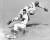 향년 89세로 사망한 MLB '전설의 대도' 모리 윌스(아래)가 1965년 9월 27일(한국시간) 세인트루이스전에서 3루 도루에 성공하는 모습. AP=연합뉴스