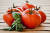 구운 치즈 토마토 샐러드는 다양한 토마토를 사용해 만들 수 있다. 사진 pixabay