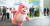 롯데홈쇼핑 자체 캐릭터 ‘벨리곰’이 해외 시장에 진출한다. 사진은 ‘대한민국 브랜드 엑스포 in 독일’을 방문한 벨리곰.  [사진 롯데홈쇼핑]