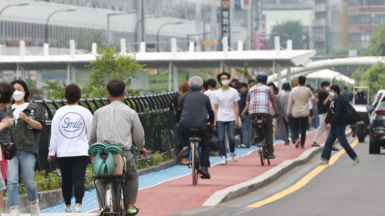 [단독] 자전거길 75%는 보행자와 자전거 뒤섞이는 '겸용도로' 
