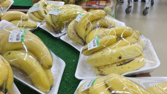 [사진] 수입과일 값 껑충 … 바나나 한달새 10% 올라