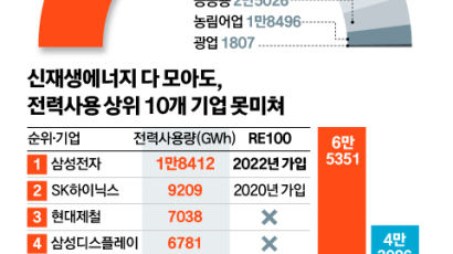 삼성전자 ‘RE100’ 가입, 비상걸린 산업계