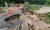 지난달 17일 오전 강원 강릉시 주문진읍 장덕리를 흐르는 하천이 폭우로 한때 범람해 재난 당국이 복구 작업을 벌이고 있다. 연합뉴스