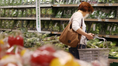 "치약도 대형만" 소비절벽 극심한데…특급호텔 웨딩은 완판