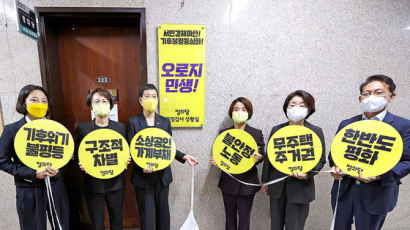 "왕자와 매맞는 아이"…정의당 '박진 해임안' 표결 불참한 이유