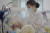 지난 5월 중국 구이저우성 츠수이시의 한 병원에서 간호사가 신생아에게 분유를 먹이고 있다. 신화=연합뉴스