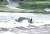 영월 남면 북쌍교를 건너던 차량이 강물에 휩쓸려 떠내려갔다. 사진 유튜브 캡처