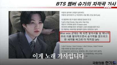 "군대 알아서 갈테니까"…BTS 슈가 자작곡, 국감 등장한 이유