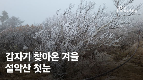 갑자기 찾아온 겨울, 설악산 첫눈…내일은 서울 체감 5도로 '뚝' [영상]