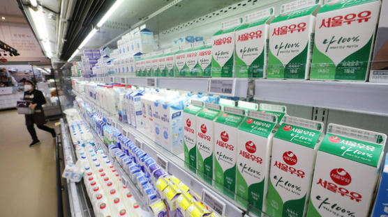 서울우유, 이달부터 치즈 가격 20% 인상…유제품도 추가 인상 가능성