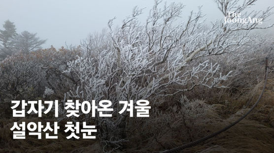 벌써 설악산 첫눈…내일 아침까진 춥다