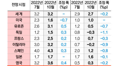 IMF “생계비 위기” 내년 물가 세계 6.5% 한국 3.8% 전망