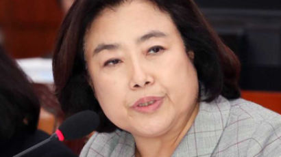 시의원 후보에 공천 헌금 의혹…경찰, 박순자 전 의원 압수수색