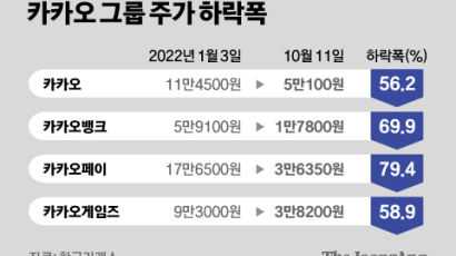 또 쪼개? 카카오게임즈 주주들 열받았다