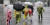 지난달 5일 서울 종로구 광화문 광장에서 우의를 입고 걷고 있는 어린이들. 연합뉴스