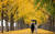 뮤지컬 영화이자 로드무비인 ‘인생은 아름다워’에는 경치 좋은 전국의 관광지가 줄줄이 등장한다. 포스터에도 사용된 낙엽 길은 충남 아산 곡교천에 있는 은행나무길이다. [중앙포토] 보길도 윤선도원림.