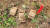 한국지뢰제거연구소가 지난달 28일 경기도 연천군 미산면 백학저수지 인근 야산에서 발견한 M7 지뢰. 사진 연천지역사랑실천연대