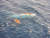 제주 서귀포시 마라도 남서쪽 7㎞ 해상에서 서귀포 선적 근해연승어선 A호(29t)가 전복돼 해경이 수색 중이다. 사진 제주해경