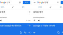 구글, ‘김치용 배추’ 영어 번역에서 ‘Chinese’ 뺐다…“지속적 시정 요청”