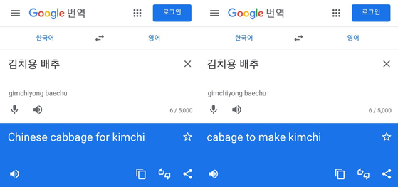 구글, ‘김치용 배추’ 영어 번역에서 ‘Chinese’ 뺐다…“지속적 시정 요청”