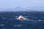 제주 서귀포시 마라도 남서쪽 7㎞ 해상에서 서귀포 선적 근해연승어선 A호(29t)가 전복돼 해경이 수색 중이다. 사진 제주지방해양경찰청