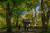 지난 15일 원주 신림면 성남2리 성황림을 찾은 관광객의 모습. 치악산 성황신을 모신 당숲으로 30년 넘게 일반 출입을 막고 있었는데, 올가을에는 한 달 여간 한시적으로 개방에 들어갔다. 