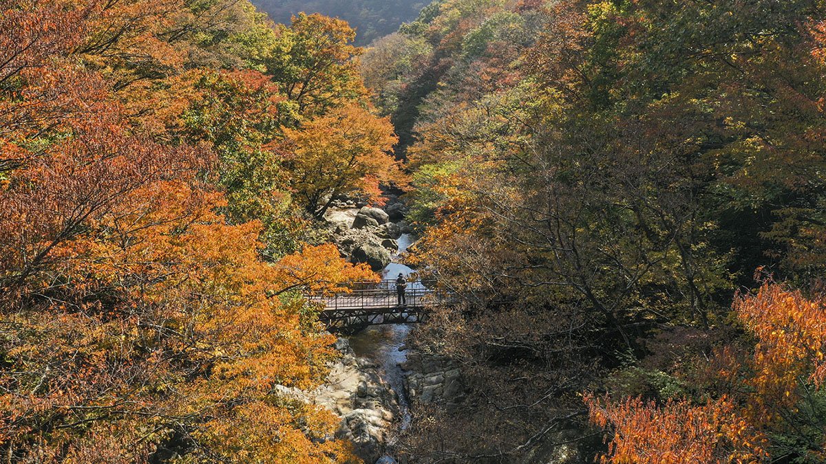 연합뉴스