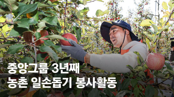 “일손 보태자”…중앙그룹, 사과 농가 찾아 봉사 활동
