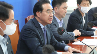 민주당 “김진태, 중대경제범죄자…사퇴하고 검찰 수사해야”