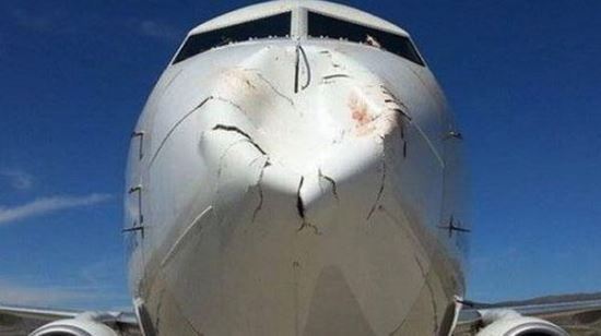 새와 충돌해 손상을 입은 항공기의 모습. 중앙포토