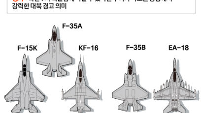 한ㆍ미 연합공중훈련 ‘비질런트 스톰’ 시작…F-35B 韓에 출격 
