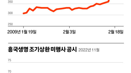 한국 채권 글로벌 시장서 외면? 흥국생명 5억 달러 콜옵션 불발